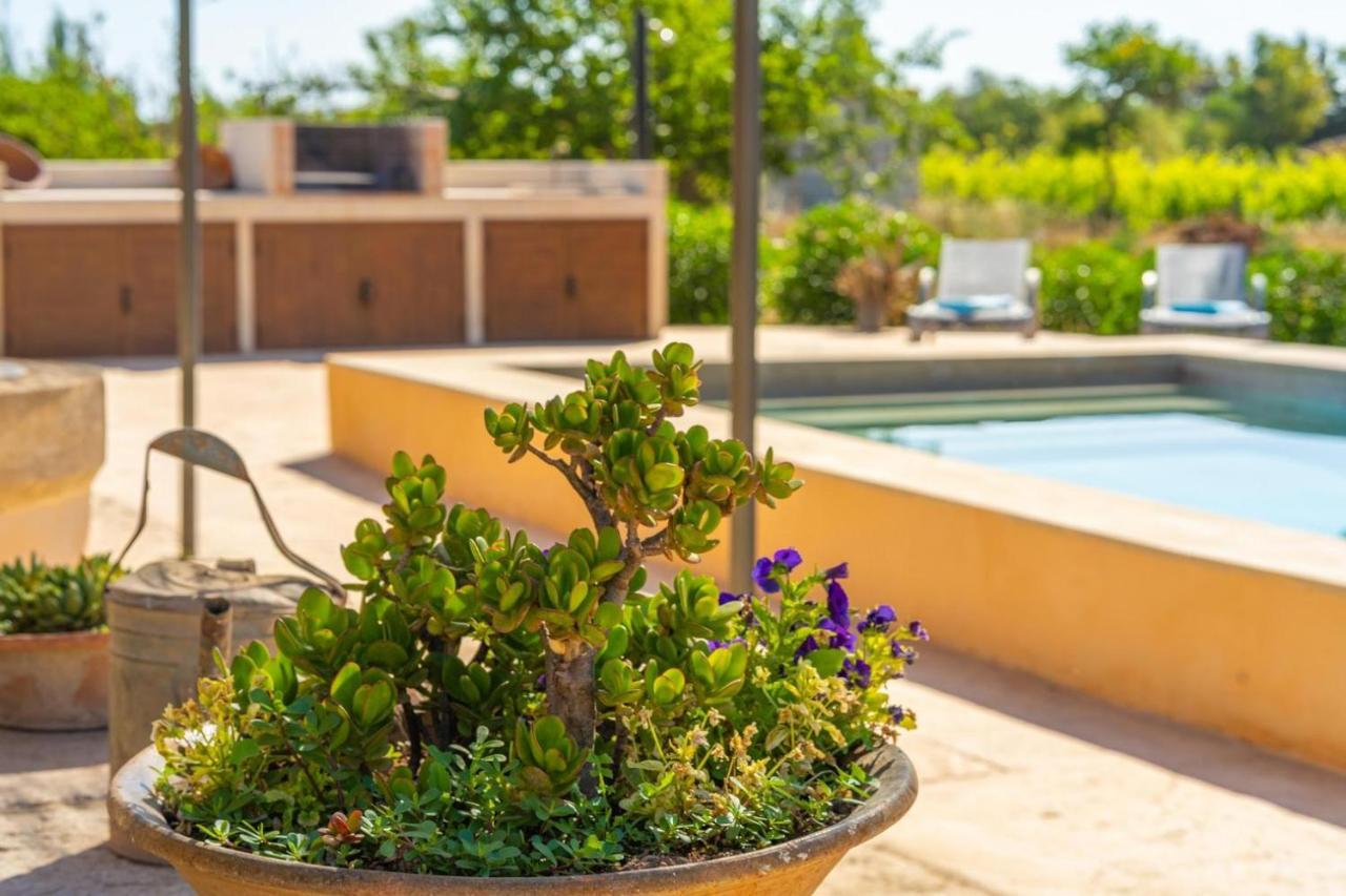 Finca Campestre Es Verger Blue บินิสซาเล็ม ภายนอก รูปภาพ